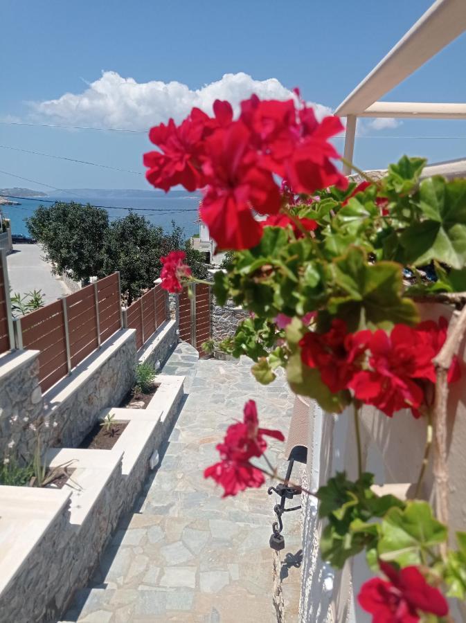 Domina Villa *